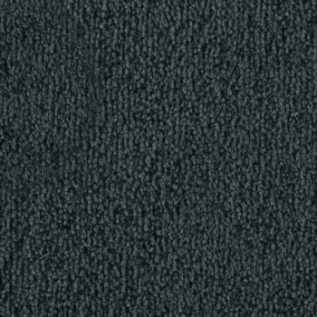 Vorwerk Safira Teppichboden Farbcode 4H79 – Draufsicht ohne Etikett